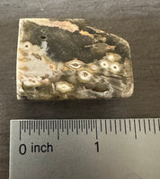 8th Vein Ocean Jasper Polished Free Form #10