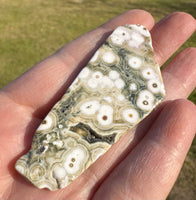 8th Vein Ocean Jasper Polished Free Form #17