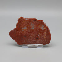 8th Vein Ocean Jasper Slab #56