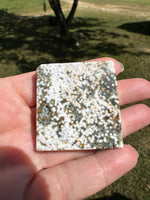 Ocean Jasper Free-form #2