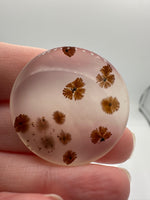 Scenic Dendritic Agate Cabochon #8