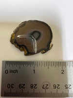 Agate Slice #33