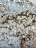 8th Vein Ocean Jasper Slab #41