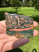8th Vein Ocean Jasper Slab #114