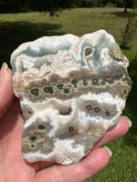 8th Vein Ocean Jasper Slab #62