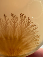 Designer Dendritic Agate Cabochon #5