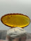 Fossil Insect Inclusion in Burmese Amber #7