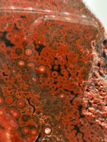 8th Vein Ocean Jasper Slab #7