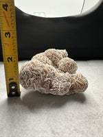 Selenite "Desert Rose," Samalayuka Desert, Chihuahua, Mexico #1