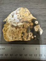 8th Vein Ocean Jasper Slab #58