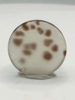 Scenic Dendritic Agate Cabochon #5