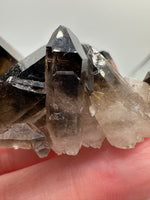Smoky Quartz, Irradiated, Collier Creek, Mt. Ida, Arkansas