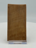 Woolly Mammoth Ivory, Pleistocene, Siberia, Russia