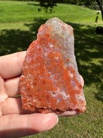 8th Vein Ocean Jasper Slab #121