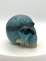 Unique Trolleite Skull #1