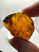 Madagascar Raw Amber Specimens BIN #2