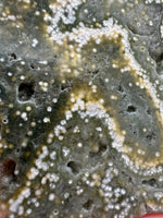 8th Vein Ocean Jasper Slab #6