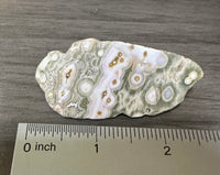 8th Vein Ocean Jasper Polished Free Form #11