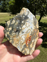 8th Vein Ocean Jasper Slab #133