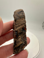 Madagascar Raw Amber Specimen #16