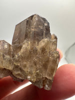 Natural Citrine Cathedral Crystal Kundalini Lightbrary, Congo #8