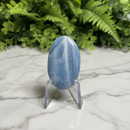 Owyhee Blue Opal Cabochon #27