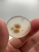 Scenic Dendritic Agate Cabochon #4