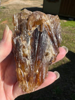 Natural Amber Calcite Raw Specimen UV Reactive #19