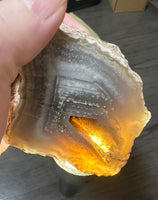 Natural Rough Agate Specimen #10