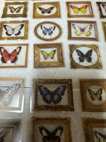 52 Count Butterfly Stickers