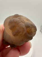 Panda Agate aka Truffle Chalcedony #5
