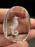Beautiful Seahorse Garden Quartz Inner Scene Carving #7