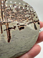 Natural Picture Jasper Slab with Stand #12