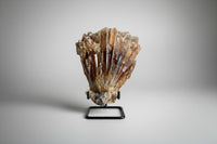 Natural Amber Calcite Raw Specimen UV Reactive #1