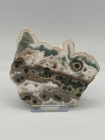 One of a Kind Bunny Shaped 8th Vein Ocean Jasper Slab #2