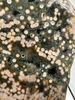 8th Vein Ocean Jasper Slab #22