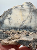 Dendritic Opal Slab