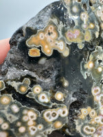 8th Vein Ocean Jasper Slab #19