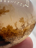 Designer Dendritic Agate Cabochon #6