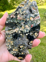 8th Vein Ocean Jasper Slab #19