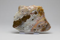 8th Vein Ocean Jasper Slab #48