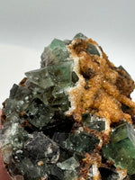 Diana Maria Fluorite Specimen #6