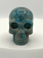 Unique Trolleite Skull #4