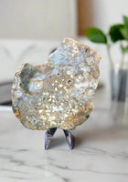 8th Vein Ocean Jasper Slab #128