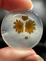 Scenic Dendritic Agate Cabochon #4
