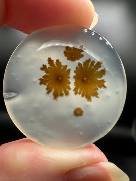 Scenic Dendritic Agate Cabochon #4