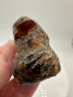 Madagascar Raw Amber Specimen #18