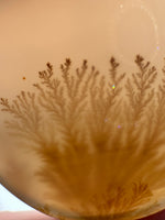 Designer Dendritic Agate Cabochon #5