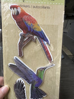 Four Count Large Puffy Parrot Stickers