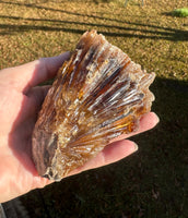 Natural Amber Calcite Raw Specimen UV Reactive #8